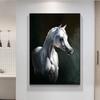 Modern White Arabian Horse Canvas Painting Wall Art Pictures Animal Posters and Prints for Living Room Home Decoration Cuadros