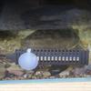 17-34°C Аквариумный погружной обогреватель Цифровой дисплей Регулируемый контроль температуры Обогреватель для аквариума 25-75 Вт Термостат Обогреватель