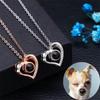 Love Shaped Projection Necklace, Fashionable and Versatile for Women, Pendant, Collarbone Neck Chain