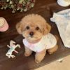 Pet Spring Floral Bow Dress Teddy Short Sleeve Cute Home Sleepwear Puppy Clothes Dog Dresses for Small Dogs