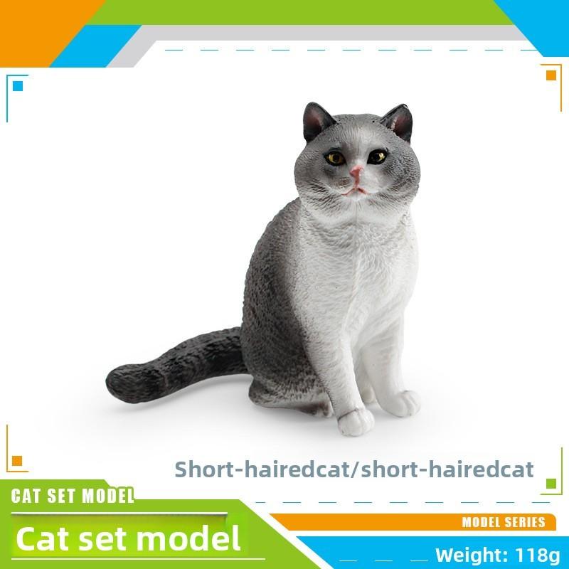 Maine Coon Cat Pvc Figurine For Kids Learning Educational Toy