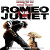 Romeo Vs. Juliet A Kill Shakespeare Adventure by Anthony Del Col... 9781603606479