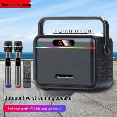 Портативная Bluetooth-колонка для караоке Newmine K112, штекер CN (адаптер в комплекте)