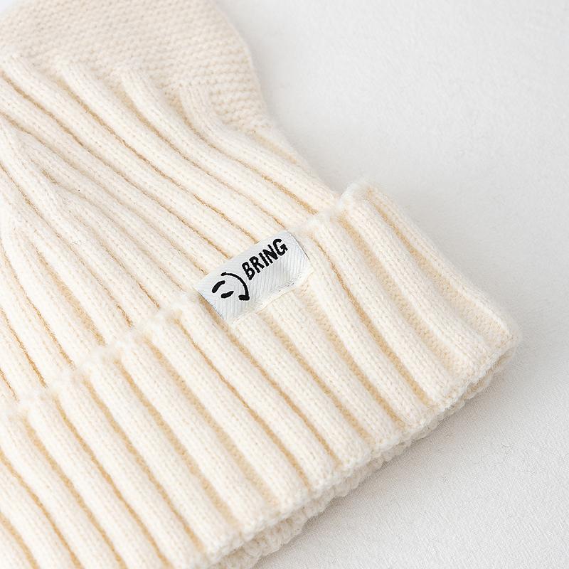 Cute Dandy Hat Cat Ear Kpop Style Beanie Hat Sweet Autumn/Winter Hats For Women Street Simple Colors Warm Hats For Girl