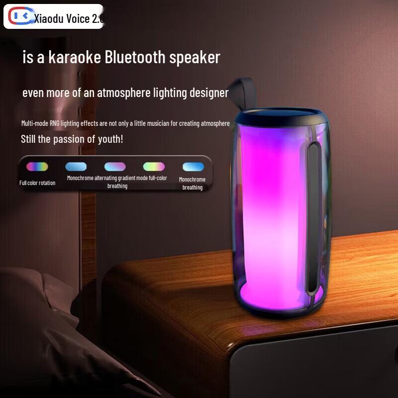 Bluetooth-динамик для караоке Newmine M18 AI, штекер CN (адаптер в комплекте)