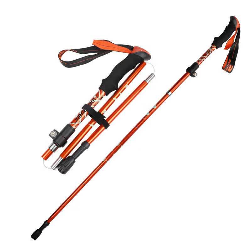 Burrenshu 5-Section Folding Hiking Pole SR-363