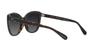Coach Sunglasses HC8365U CH566 Tortoise Gradient Polar Lens 55 Black/Dark Frame/Grey