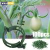 100 PCS Plant Support Clips Plastic Ties Trellis Stake Clips Garden Veggie Tomato Greenhouse Holder For Garden Tools Accessories