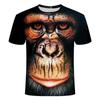 3D Fashion Funny Monkey Graphic T Shirts Summer Casual Animal Pattern Men's T-shirt New Hip Hop Print Short Sleeve T-shirts Tops