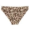 Regatta Женские/дамские плавки бикини Aceana с леопардовым принтом