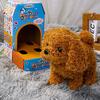 Cat Dog Plush Toy Will Bark Walk Tail Wagging Lovely Kitten Corgi Bichon Frise Poodle Husky Companion Soothe Toy Simulation Electric Plush Puppy Doll