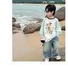 2025 Spring/Autumn Korean Style Boys' Loose Jeans