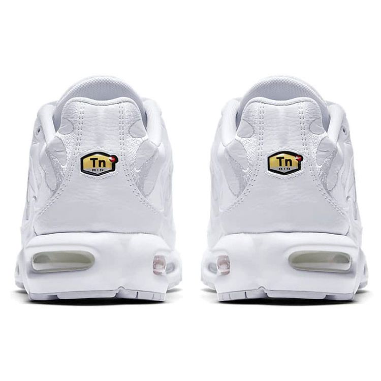 Nike Air Max Plus Triple White AJ2029-100