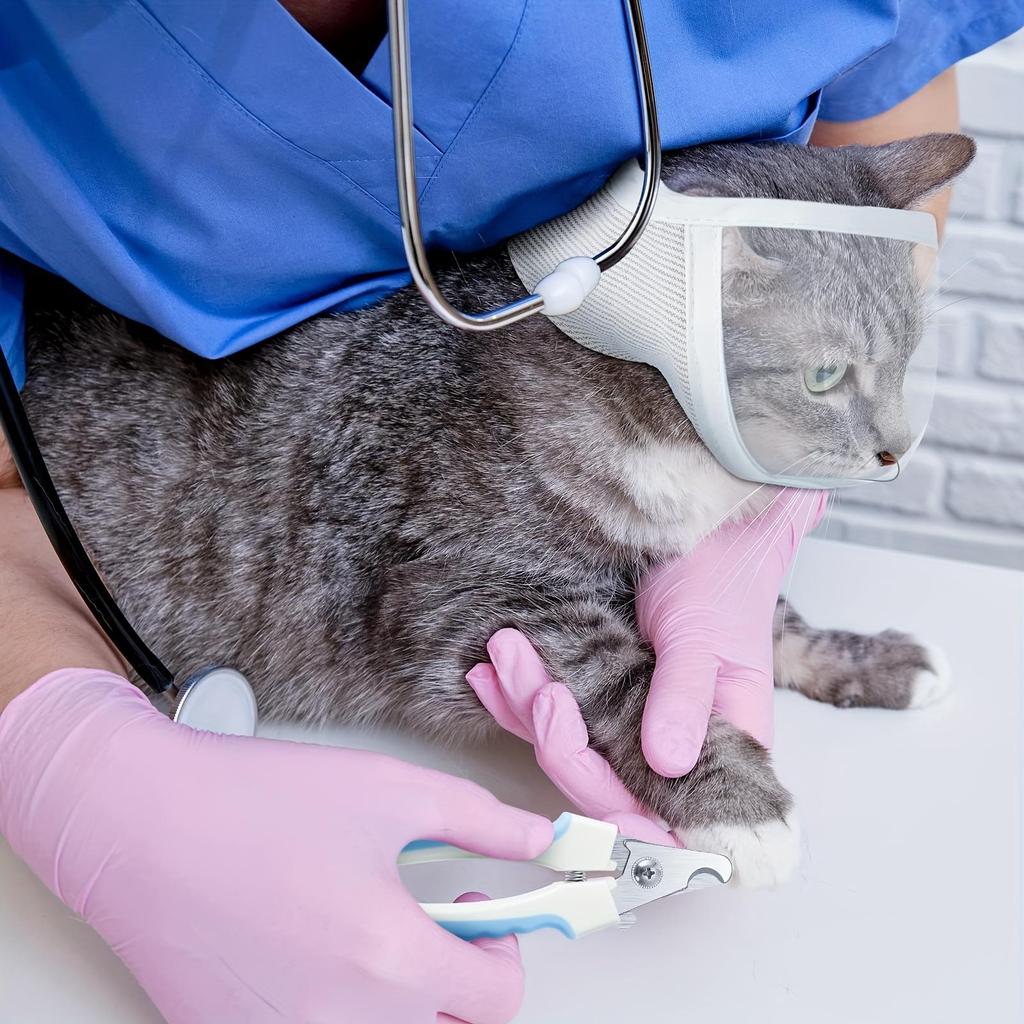 Transparent Cat Eye Mask, Anti Bite and Anti Calling, Anti Bite and Cleaning Face Mask, Breathable and Open Vision Wild Cat Head Cover