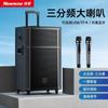 Портативная тележка Bluetooth-колонка Newmine N529, 15 дюймов, штекер CN (адаптер в комплекте)