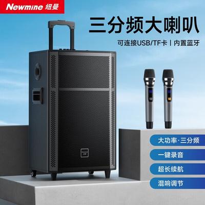 Портативная тележка Bluetooth-колонка Newmine N529, 15 дюймов, штекер CN (адаптер в комплекте)