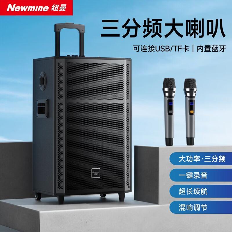Портативная тележка Bluetooth-колонка Newmine N529, 15 дюймов, штекер CN (адаптер в комплекте)