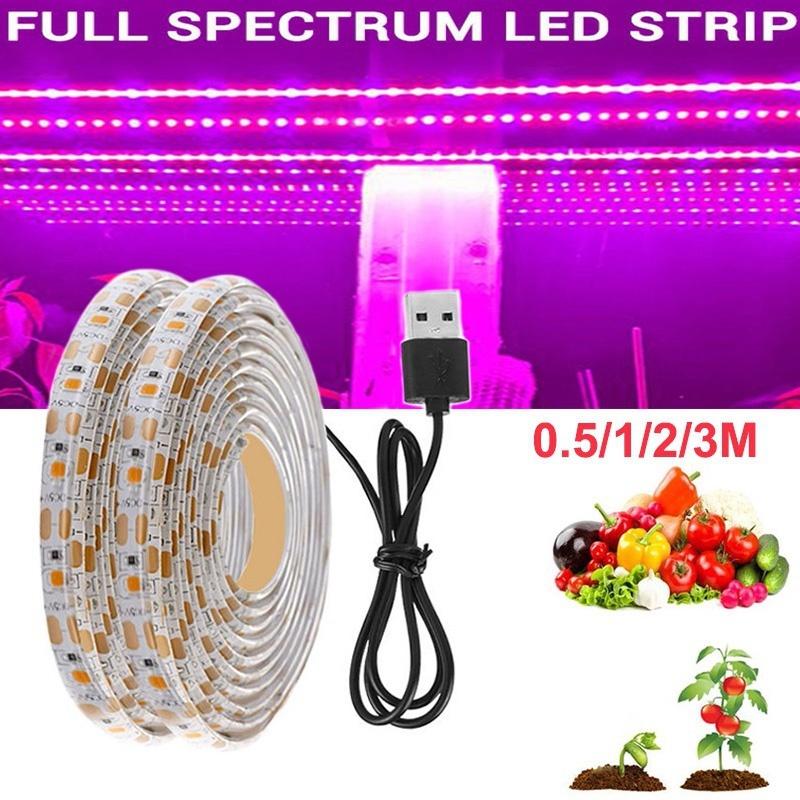 5M 2835 SMD LED Grow Light Full Spectrum USB Grow Light Strip Phyto Lamps Plant Growth Light for Plants Greenhouse Hydroponic Growing