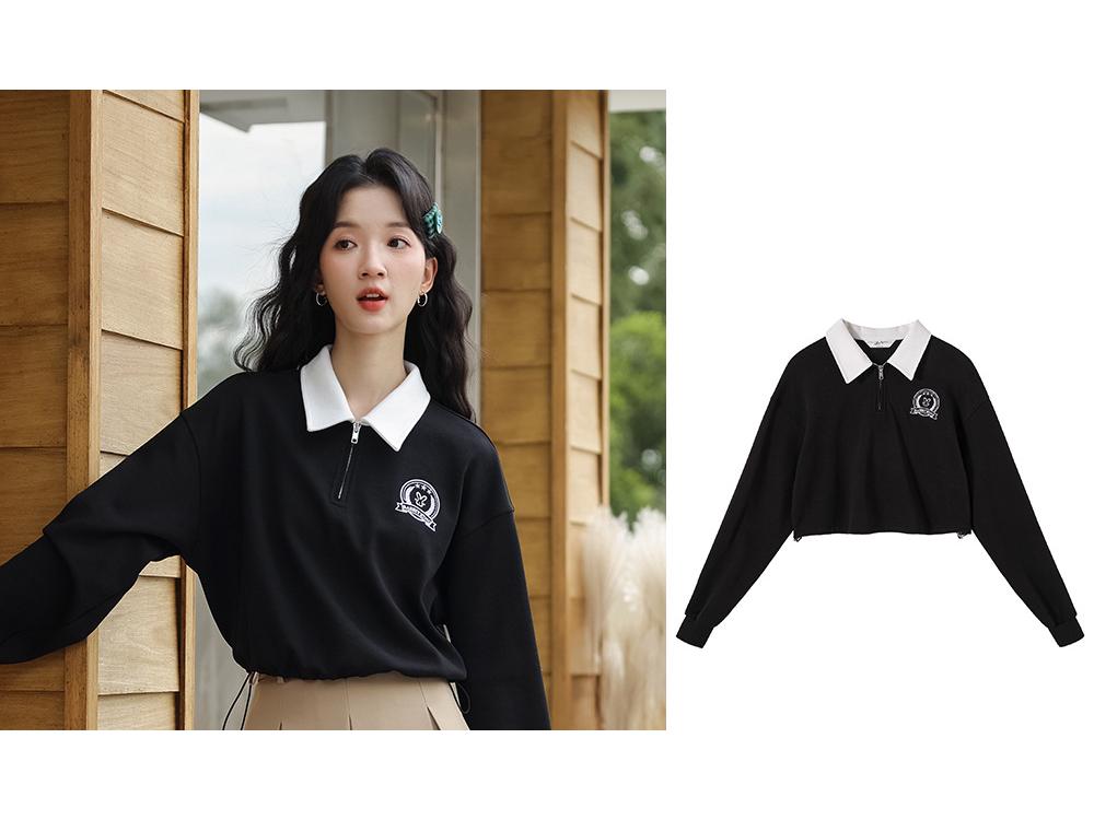 Женский пуловер с вышивкой в стиле ретро, с поло-воротником и застежкой-молнией до половины - Длинный рукав, Весна/Осень 2025