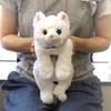 Плюшевая игрушка Hizaneko Белая с разноцветными глазами Маленький размер