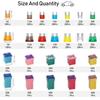 250 Pieces Automotive Fuse Set, Standard Mini Blade, Low And High STD Profile, Box-Shaped, Various Fuses