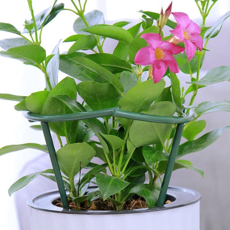 2-12 шт. Пластиковая опора для растений, колышек, каркас, тепличная композиция, полукруглый фиксирующий стержень, опора для комнатных цветов, вьющихся растений