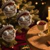Animal Christmas Ornaments | 2D Acrylic Seasonal Decoration | Hangable Holiday Decorations | for Home Office Living Room Study Garden Front Door Wall