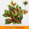 Persian Style Green Wall Hanging Grass Decoration for Indoor & Balcony Background