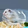 Box Hamster Bathroom Bath Pet Sand Room Transparent Mouse Pet Toilet