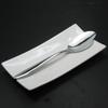 Todai 18-8 Albi Fish Sauce Spoon 005715