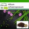 Organic - Chives - 250 Seeds - With Potting Substrate for Better Cultivation - Allium Schoenoprasum