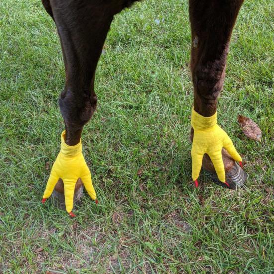 1 Pair Horse Decor Boots Hooves To Feet Horseshoe Wrapped Wear Resistant Easy Wear Horse Hoof