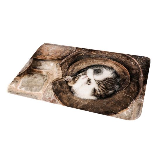 Дверной коврик противоскользящий 3D коралловый бархатный коврик с рисунком кошки и собаки для двери спальни