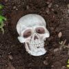 Реалистичная фигура черепа в натуральную величину, украшение в виде человеческого черепа, декор на Хэллоуин, статуя ужаса из смолы, водонепроницаемое украшение для дома и офиса, двора