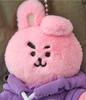 [Б/У] Line Friends BT21 COOKY Petit Тканевая Реактивная Кукла Брелок