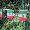 10M (32.8ft) Mexican Flag String Flag Holiday Decoration Hanging Flag Pull Flag