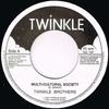 7-дюймовая пластинка TWINKLE BROTHERS MultiCultural Society NG197 Twinkle Music 2004 UK Reggae Ska Dub Б/у