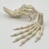 Halloween Skeleton Hand 3D Printed Plastic Human Hand Bone Model Scary Halloween Trick Props for Tableware Party Supplies Haunted House Home Decor