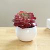 Fake Potted Plant Weather Resistant Photo Props Wide Application Excellent Mini Succulents Desk Office Potted Home Accessories