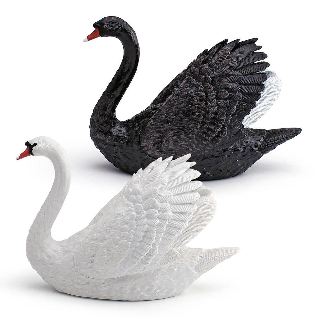 Wild Animal Swan Model: Children's Cognitive Farm Decor - White & Black Swan Ornament