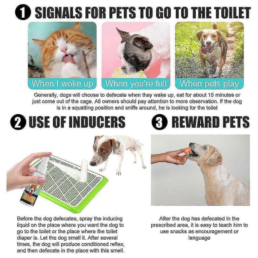 Yegbong pet toilet training spray - pet urination & defecation positioning spray for for cats & dogs, toilet training aid daily care