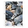 Shells Throw Blanket halloween Warm Decorative Throw Polar Blankets