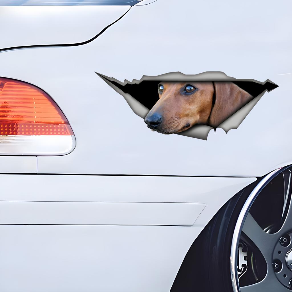 Tan Dachshund Car Stickers Scratch Blocking Self-Adhesive Waterproof Decal, Used for Car, Laptop, Motorcycle, Van, RV