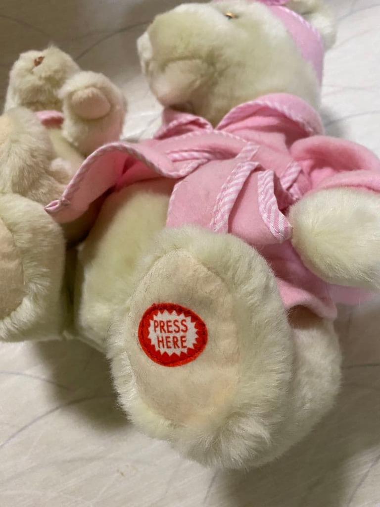 [USED] Teddy bear stuffed toy bear doll singing talking English study parent and child