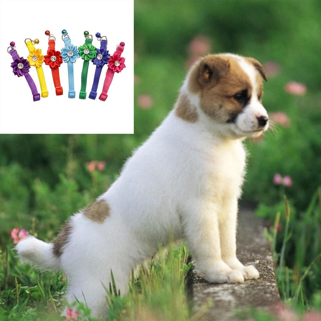 Свадебный ошейник для кошки с кристаллами для маленьких и средних собак и кошек, безопасный ошейник-ожерелье, свадебные костюмы