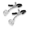 Metal Nipple Clips 2pcs Stimulator Bondage Restraints Flirting Teasing Women Sex Toy Slave Couple Play Female Breast Clit Clamps