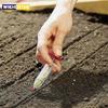 1pcs Mini Sowing Seed Dispenser Manual Sower Seed Spreader Planter Handheld Tool Syringe Precision Gardening Seeder Tool