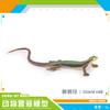 Simulated Amphibian And Reptile Model, Lizard, Chameleon, Bipedal, Snake Grass, Lizard, Tricky Decoration, Static Ornament