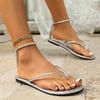 Fashion Woman Roman Beach Shoes Large Size Footwear Clip Toe Gold Silver Gladiator Sandals Women 2025 Summer Ankle Straps Flat Sandals
