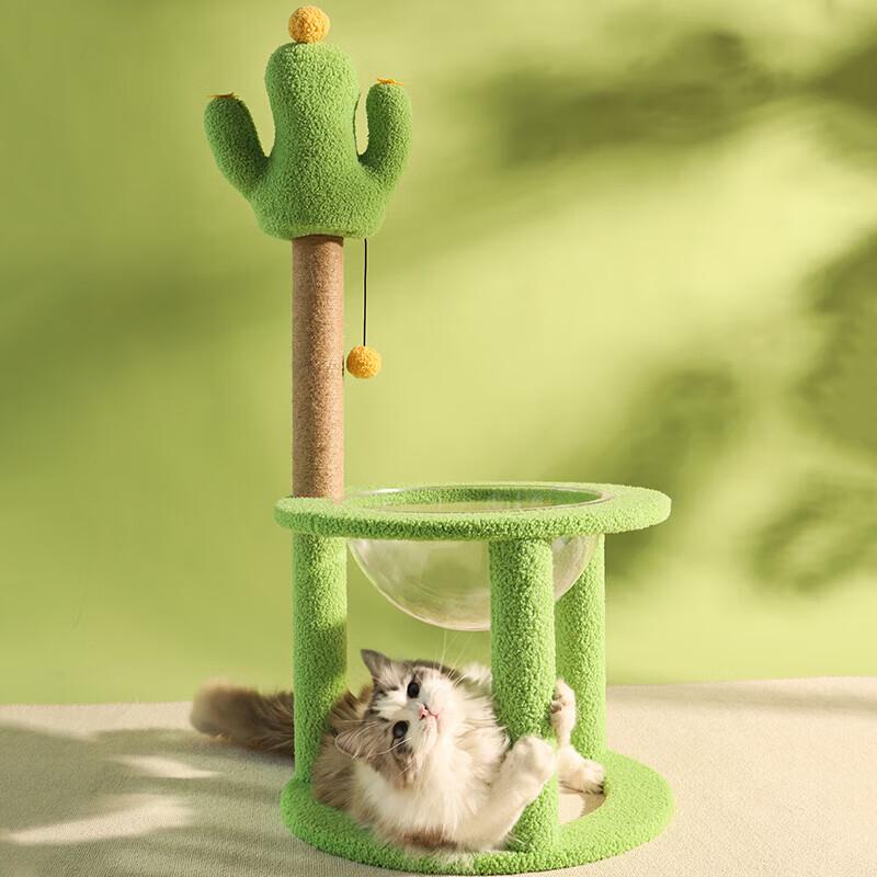 Cactus Cat Tree & Scratcher with Space Capsule